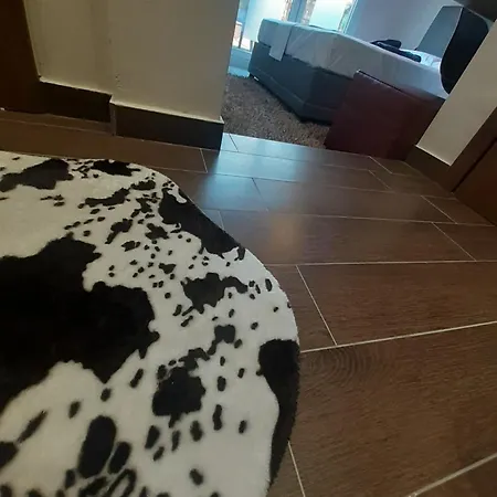Dramamine1 Apartment *