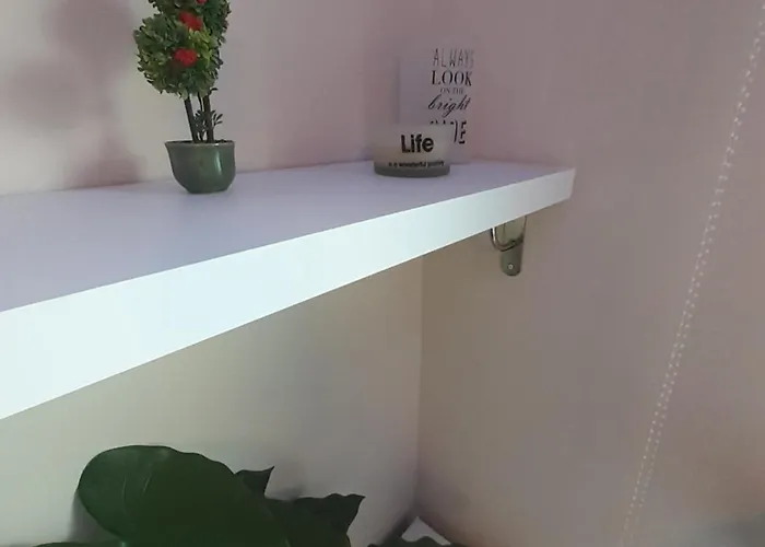 Dramamine1 Appartement